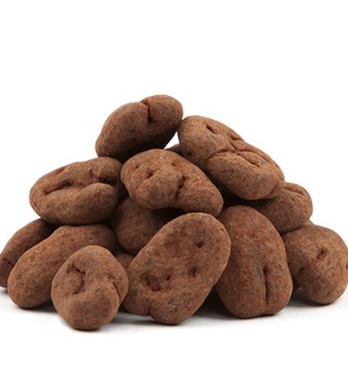 Chocolade Pecan Truffel